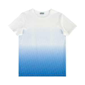 Dior Degrade Oblique Cotton T-Shirt 'White/Blue'